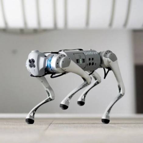 Robot chien d'evotion: L’agence leader en location de robots